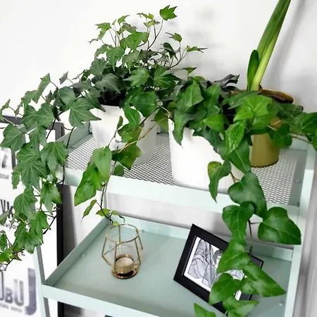 Apartment Poezja